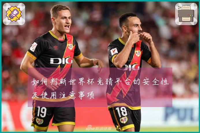 如何判断世界杯竞猜平台的安全性及使用注意事项