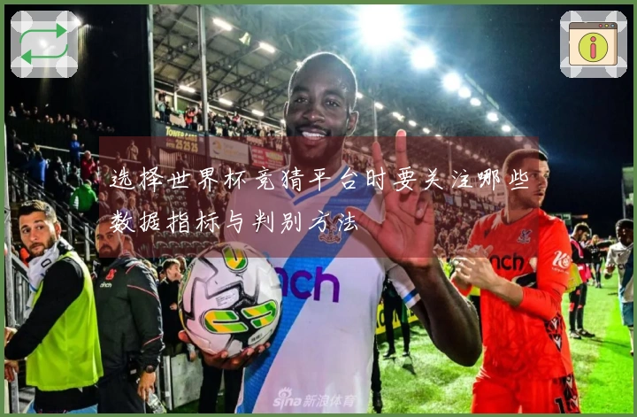 选择世界杯竞猜平台时要关注哪些数据指标与判别方法