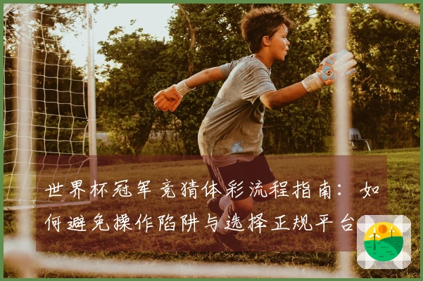 世界杯冠军竞猜体彩流程指南：如何避免操作陷阱与选择正规平台