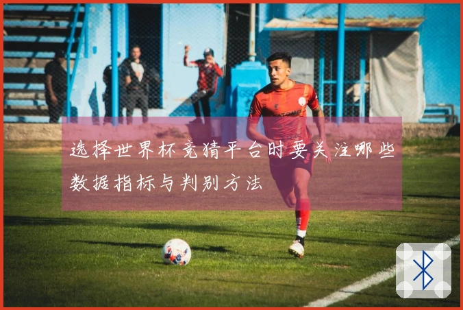 选择世界杯竞猜平台时要关注哪些数据指标与判别方法