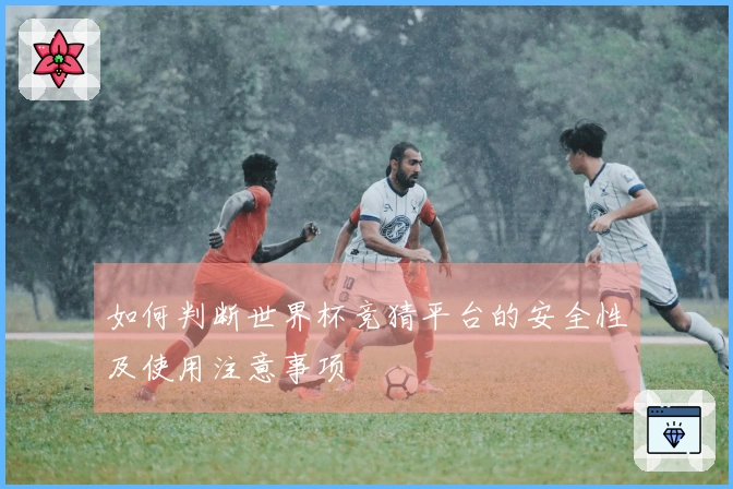 如何判断世界杯竞猜平台的安全性及使用注意事项