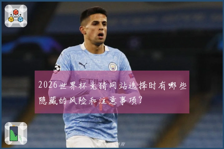 2026世界杯竞猜网站选择时有哪些隐藏的风险和注意事项？