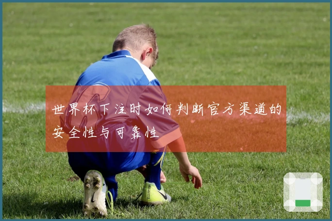 世界杯下注时如何判断官方渠道的安全性与可靠性