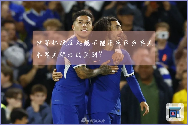 世界杯投注站能不能用来区分单关和串关玩法的区别？